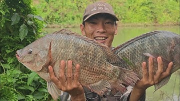 SĂN Rô phi khủng đầu mùa gặp hàng thứ dữ chạy kinh khủng