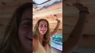 Progress when building your own home isn’t always linear.