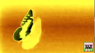 Chrysalis Home Video 1989 In Parisnightflangedsawchorded