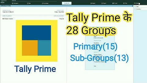 Tally Prime के 28 Groups । 28 Groups In Tally Prime