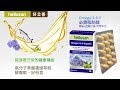 德國 好立善 Omega 3-6-9 必需脂肪酸 魚油+亞麻仁油+月見草油 3入組 (60粒x3盒) product youtube thumbnail