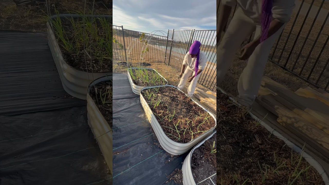 2026 Garden Renovation Begins | Spring Wire Mess Addition! 