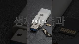 #기억력 #공부시간 #두뇌활용 #뇌과학 #집중력 #기억력좋아지는법 #학습효율 #유튜브쇼츠 #정보쇼츠 #건강상식 #생활꿀팁 #생체리듬 #브레인해킹
