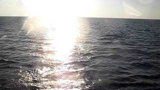 MVI_3315.AVI