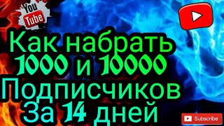 КАК НАБРАТЬ 1000 И 10000 ПОДПИСЧИКОВ ЗА 14 ДНЕЙ