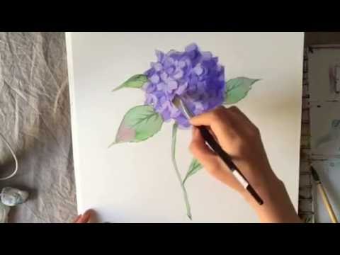 あじさいの描き方 藤井紀子の水彩画How to draw hydrangea with watercolor.