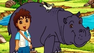 Go Diego Go! Diego's Hippo Adventure Game For Kids Full HD Video screenshot 4