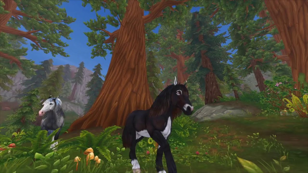 Black & White Star stable music video