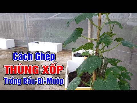Cách ghép thùng