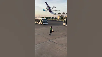 عندي مشوار صد رد مش هسيب 