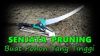 CARA MUDAH PANGKAS POHON TINGGI || GUNTING + GERGAJI PRUNING SELLERY