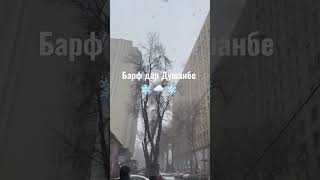 Snow in Dushanbe. Барф дар Душанбе/ Снегопад в Душанбе.Таджикистан