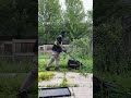*Before and After Lawn Mowing* #grassmowing #lawncarenut #healthylawn #lawn #lawngoals #lawntips