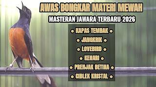 Download Lagu 100% AMPUH BUAT MASTERAN MURAI BATU AGAR IKUT BONGKAR ISIAN KENARI LOVEBIRD KAPAS TEMBAK PRENJAK TIR MP3