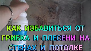 КАК УБРАТЬ ГРИБОК СО СТЕН КАК ИЗБАВИТЬСЯ ОТ ПЛЕСЕНИ ГРИБКА МХА НА СТЕНАХ И ПОТОЛКЕ НАВСЕГДА НАВСЕГДА