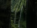 🌴 Relax to the soothing sounds of nature ✨🌴 Smokth | Calm | Relaxation |