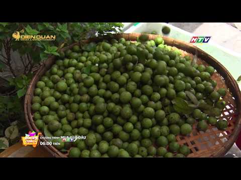 SẤU HÀ NỘI ĐẦU MÙA ĐỔ BỘ SÀI GÒN