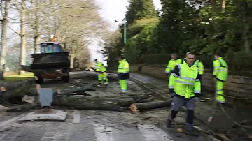 Comment faire une demande de branchement EDF ?