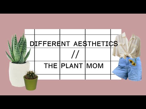 What Makes a Plant Mom // Find your style and aesthetic
