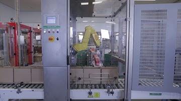 Robertpack robot verpakt Elopaks Bolletje "Schuddebuikjes" in dozen