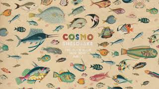 Cosmo Sheldrake - Linger a While (Instrumental)