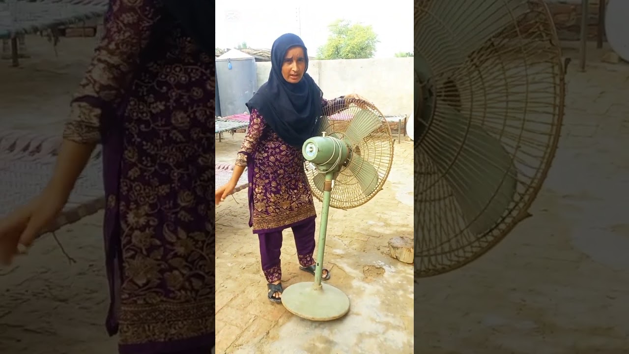 pakistani punjabi family vlog 