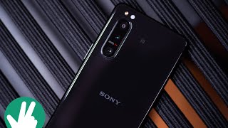 Sony Xperia 5 ii Real World Camera Test: Control freak