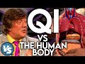 QI vs The Human Body! Funny and Interesting Facts!