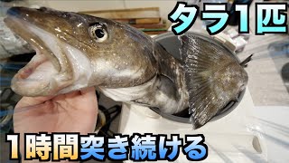 餅つき機でタラを1時間突き続けたら最強のかまぼこが作れるんじゃね？