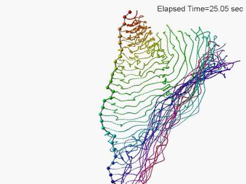 Quadrigintuple (40) pendulum starting from horizontal position / simulation / chaos