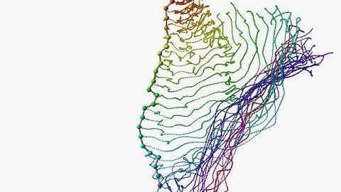 Quadrigintuple (40) pendulum starting from horizontal position / simulation / chaos