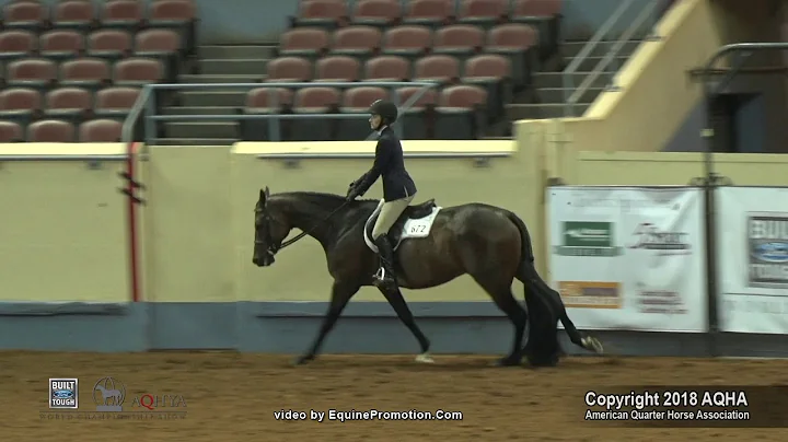 A Judge's Perspective: 2018 AQHYA Hunter Hack Worl...