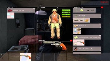 Magnum Bug - DayZ Standalone