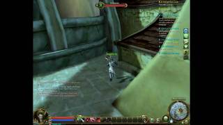 Aion Bug Altgard Fortress