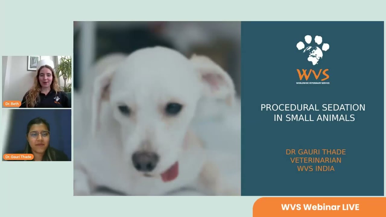 Sedation for Procedures