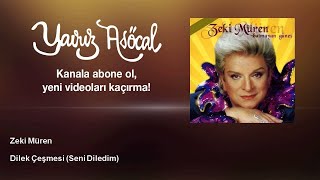 Zeki Müren - Dilek Çeşmesi (Seni Diledim) Resimi