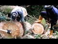 Traditional way to make wood planks in Nepal || Into the thick forest