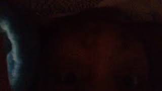 Why You Should Become A Bed Slug