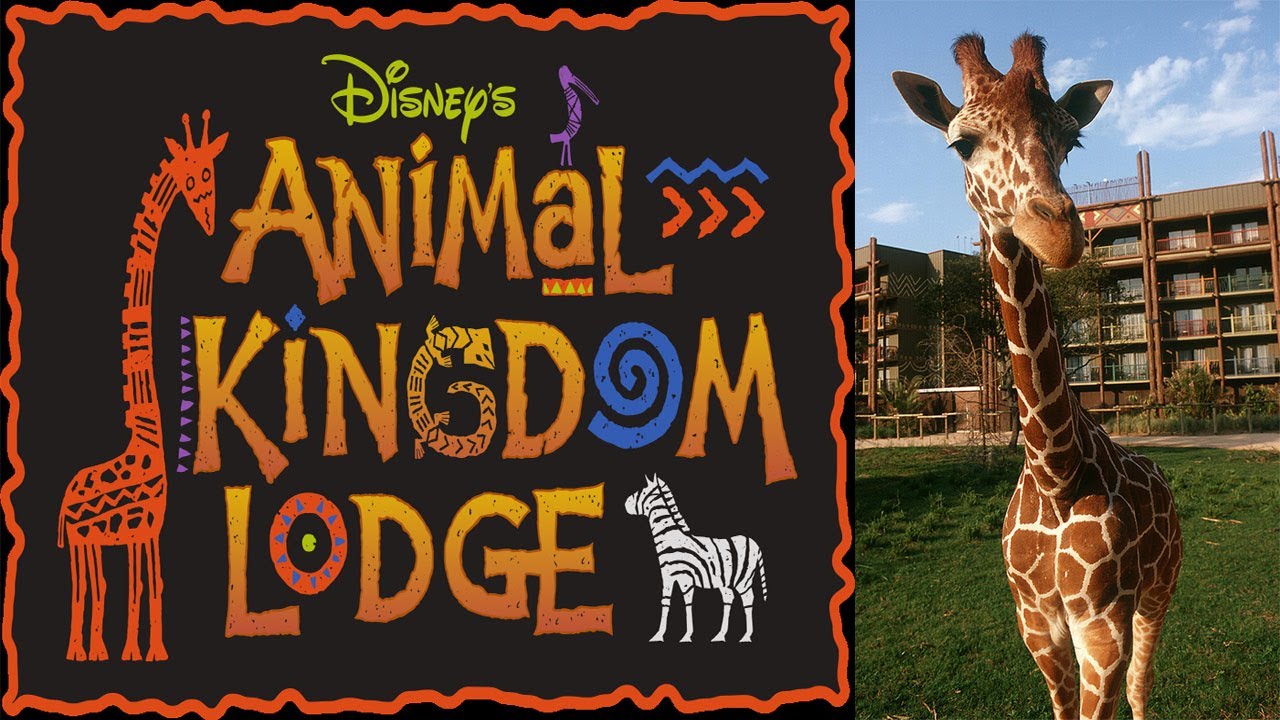 Disney Animal Kingdom Lodge Family Resort Room Tour - YouTube