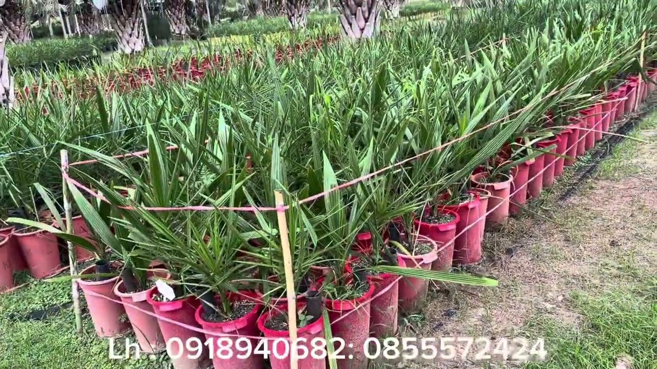 Học hỏi kinh nghiệm để chia sẽ cho bà con nông dân.