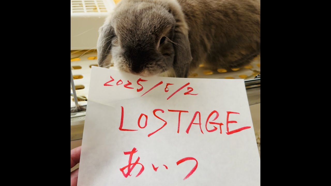 LOSTAGE / あいつ guitar cover 「この曲を聴くと、いつも思い出す