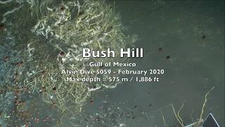 Bush Hill - 5059