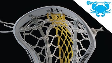 Introducing ECD Women