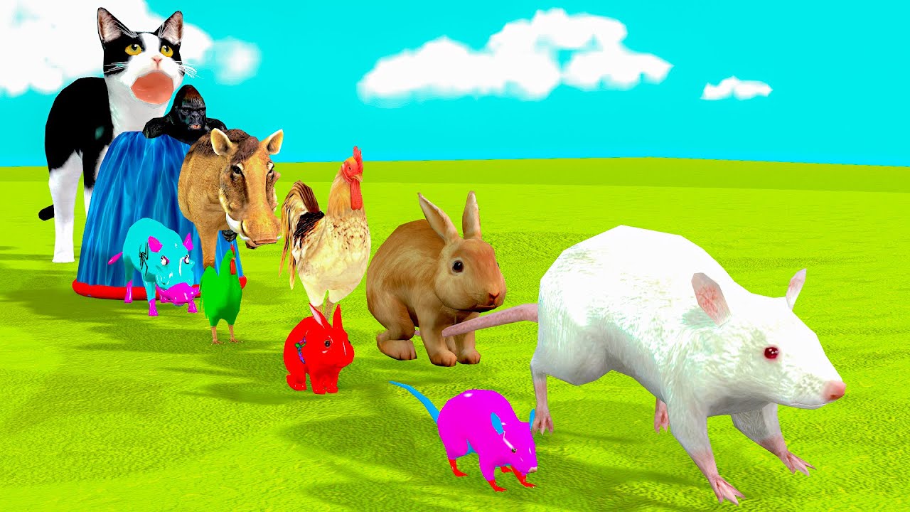 Paint & Animals Gorilla,Rabbit,Rat,African Chicken  Elephant Fountain Crossing Transformation Animal