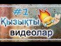 Қызықты видеолар #1