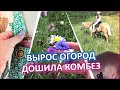 Доделала себе новый комбинезон, каталась на лошадях и ходила в пещеру.