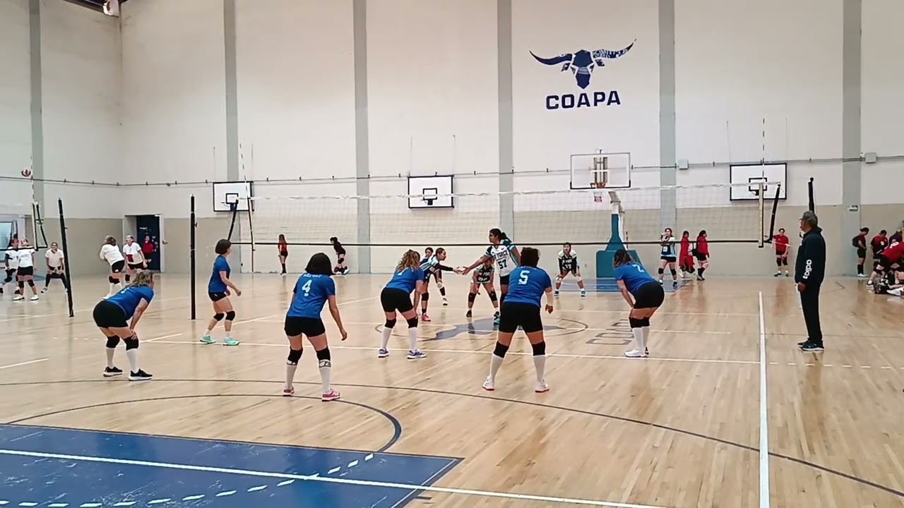 14 de febrero de 2026