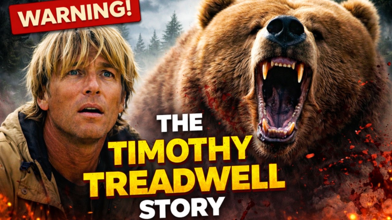 The HORRIFYING Truth Behind Timothy Treadwell's Final Day YouTube