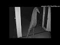 Freddie Dredd Type Beat - " nonsense "