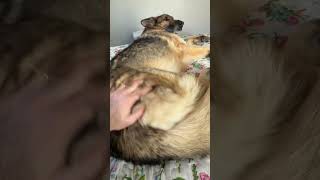 I Knew He Was Ready For A Nap Before He Knew